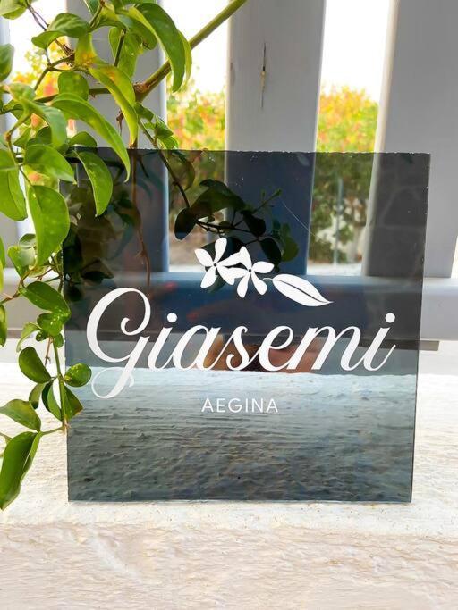 Giasemi Aegina, Modern House Villa Ngoại thất bức ảnh